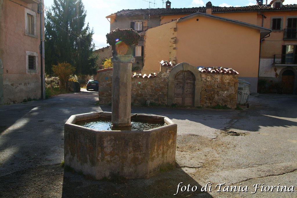 DSCF0354.JPG