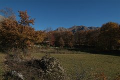 DSCF0232
