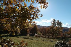 DSCF0233
