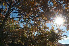 DSCF0235