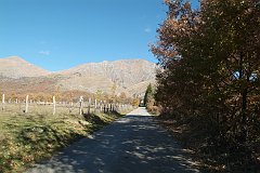 DSCF0236