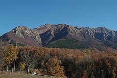 DSCF0249