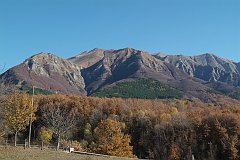 DSCF0250
