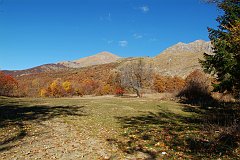 DSCF0261