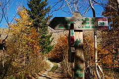 DSCF0267