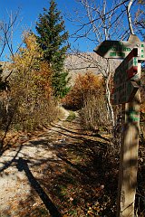 DSCF0268