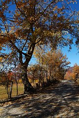 DSCF0269