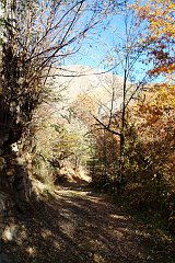 DSCF0283