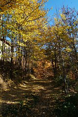 DSCF0287