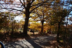 DSCF0290
