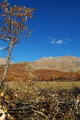 DSCF0294