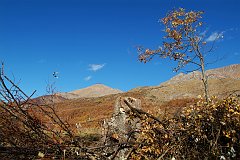 DSCF0295
