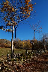 DSCF0297
