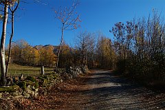 DSCF0298