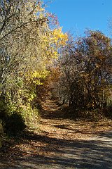 DSCF0299