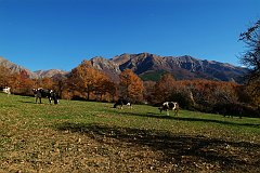 DSCF0307