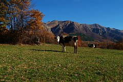 DSCF0308