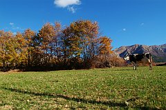 DSCF0313