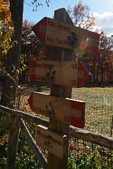 DSCF0314