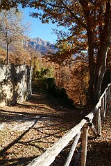DSCF0317