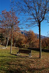 DSCF0318