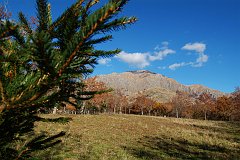 DSCF0321