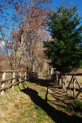 DSCF0324
