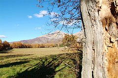 DSCF0325