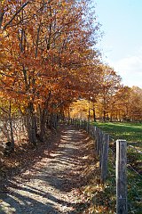 DSCF0329