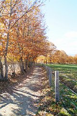 DSCF0330