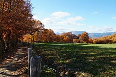 DSCF0332