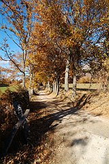 DSCF0334