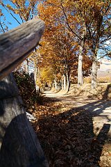 DSCF0336