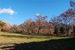 DSCF0338
