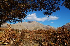 DSCF0345