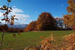 DSCF0349