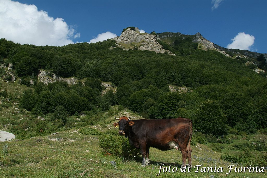 DSCF0315.JPG