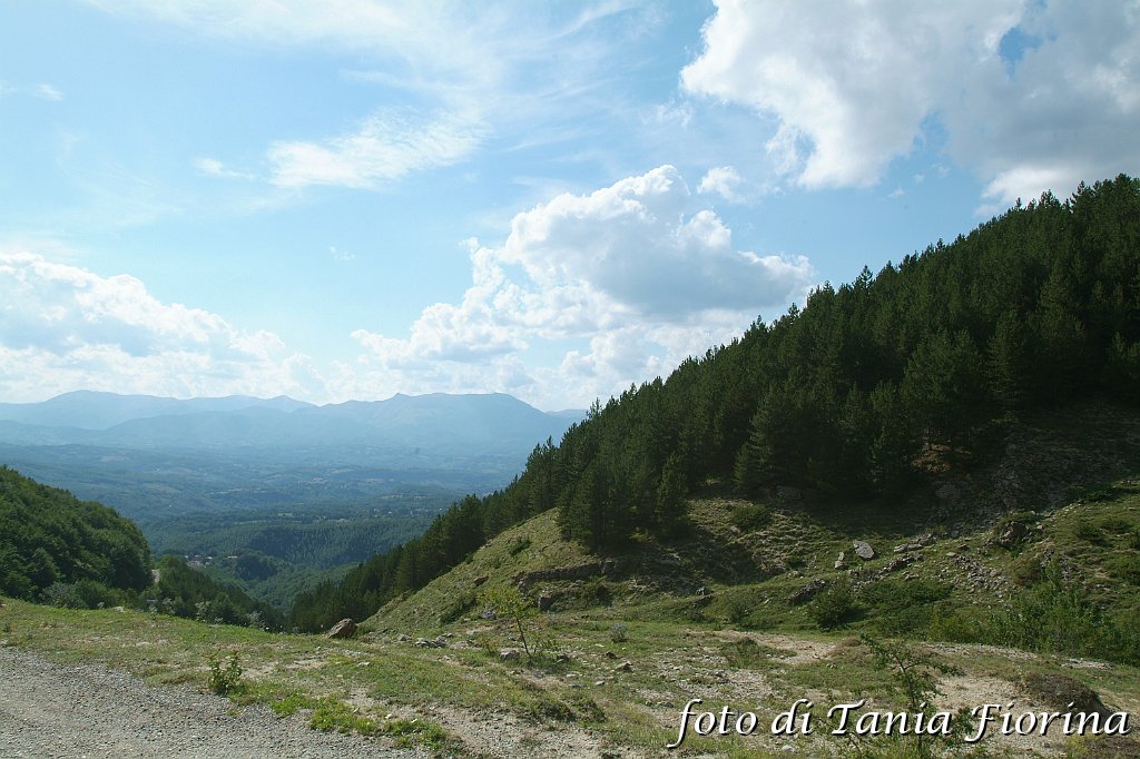 DSCF0325.JPG