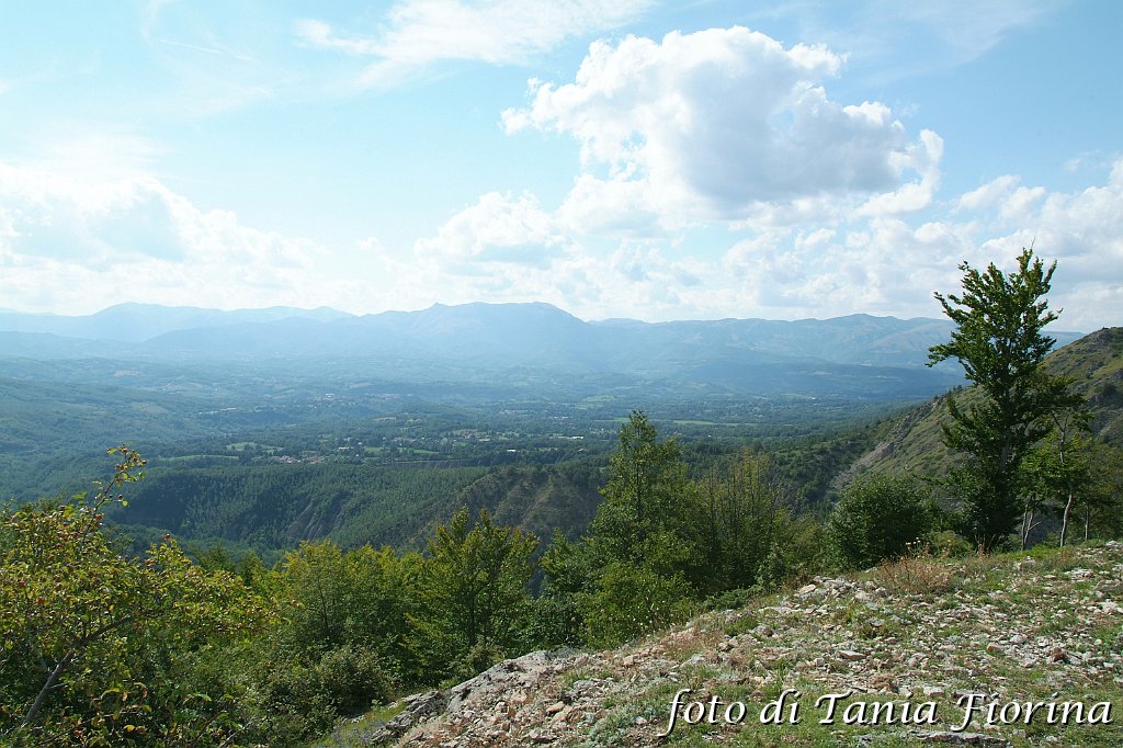 DSCF0327.JPG