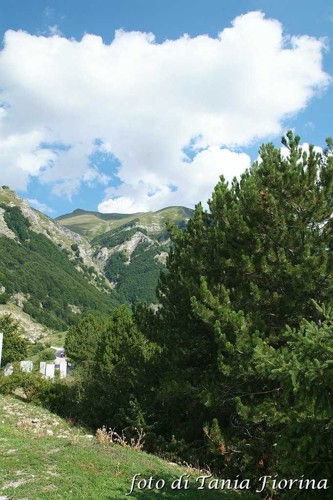 DSCF0337.JPG