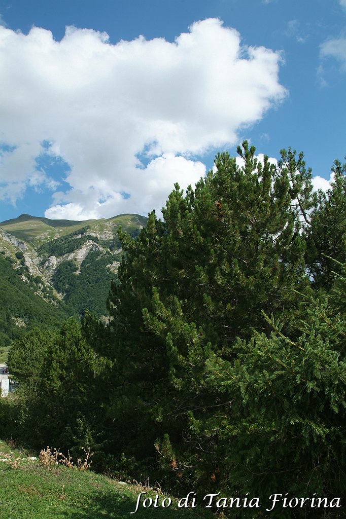 DSCF0338.JPG
