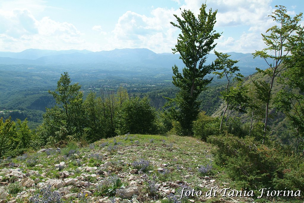 DSCF0340.JPG