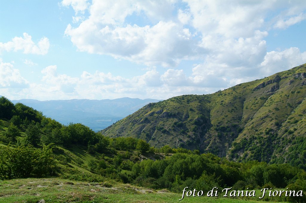 DSCF0345.JPG
