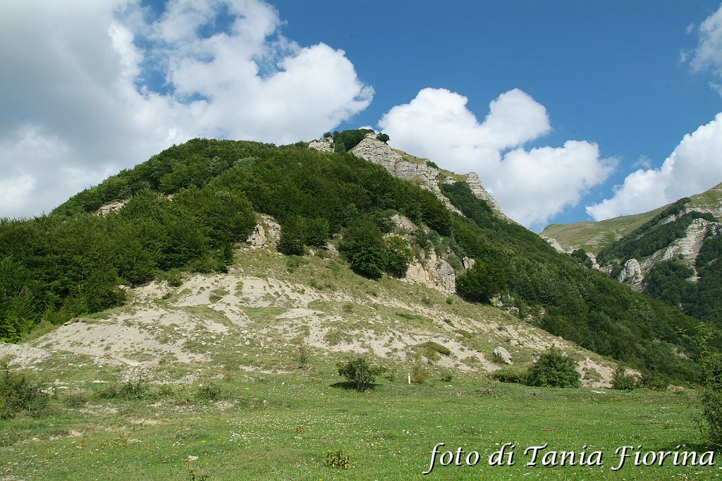 DSCF0346.JPG