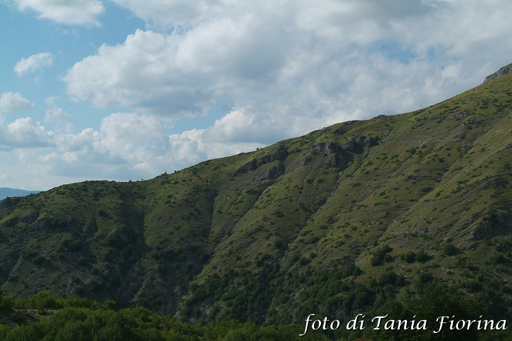 DSCF0354.JPG