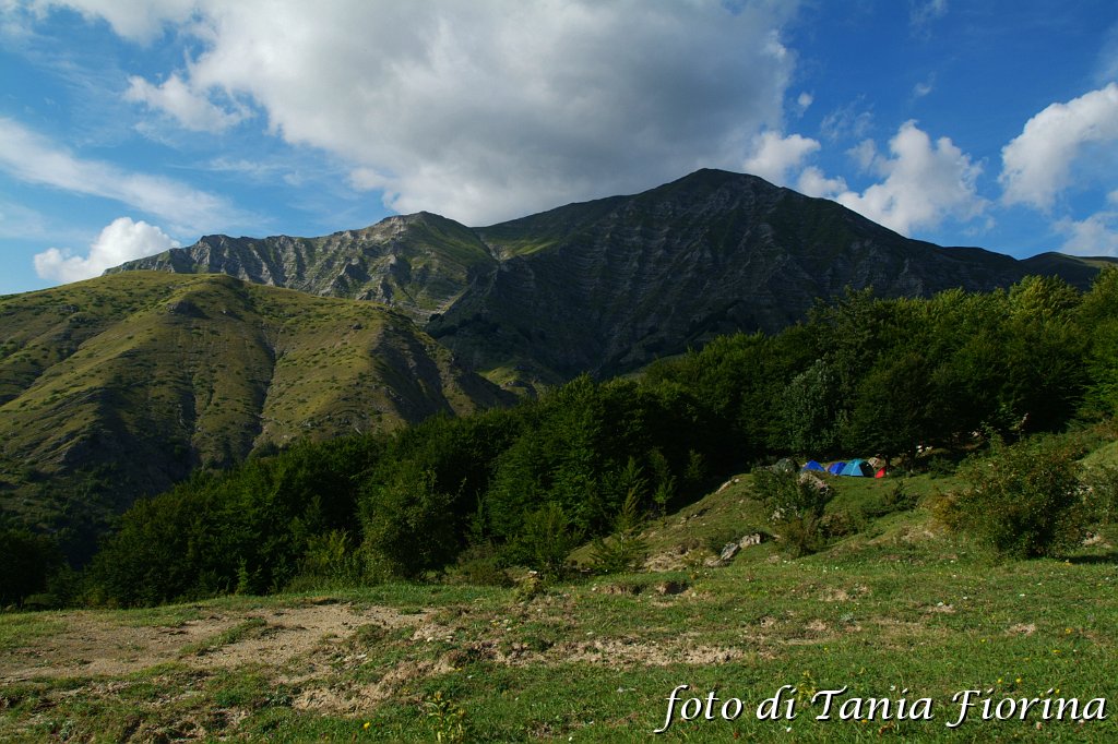 DSCF0369.JPG