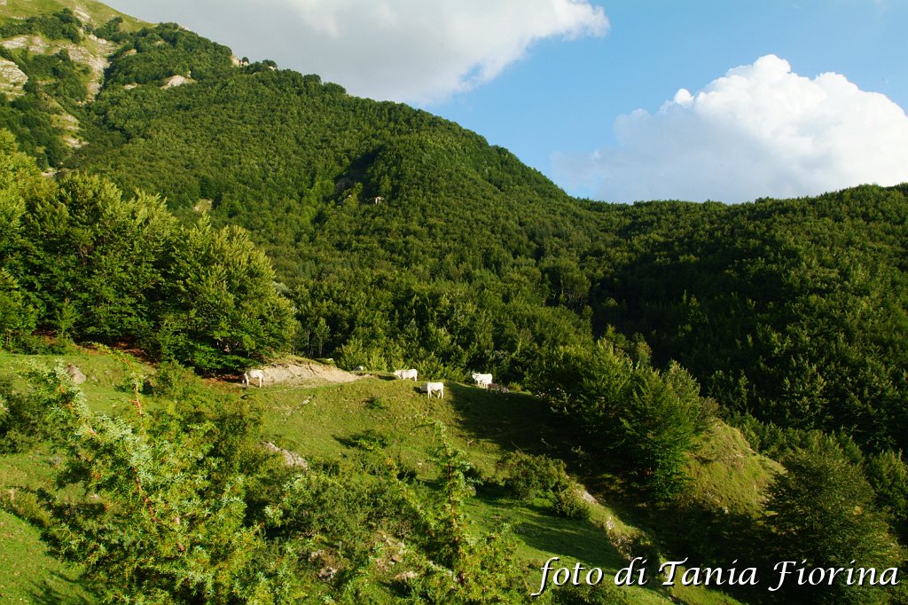DSCF0378.JPG