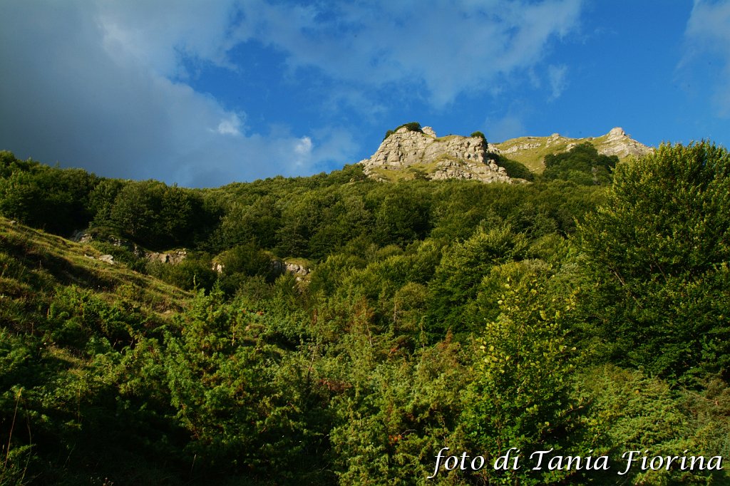 DSCF0399.JPG