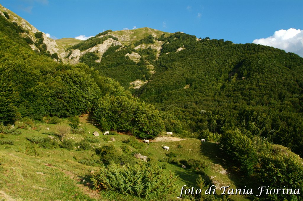 DSCF0402.JPG