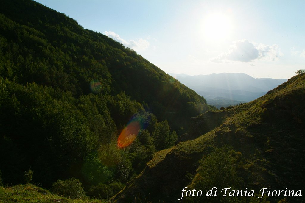 DSCF0404.JPG